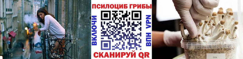 Псилоцибиновые грибы GOLDEN TEACHER  Качканар 